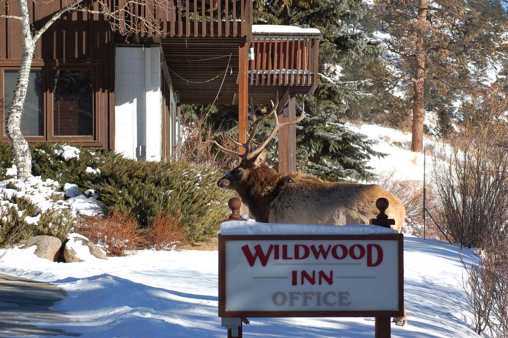 Wildwood Inn استيس بارك المظهر الخارجي الصورة